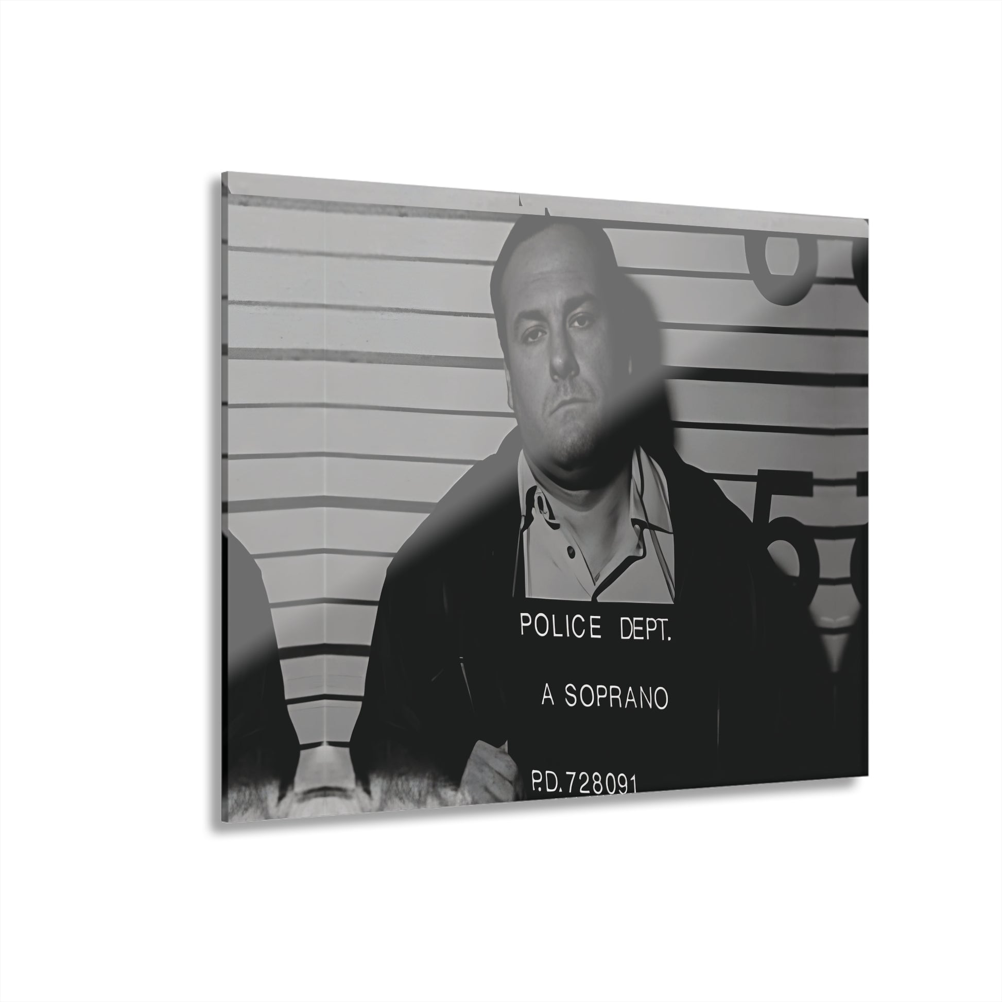 Anthony Soprano Mugshot Acrylic Wall Art Print - Unique Home Decor, Modern Art Piece, Gallery Wall Decor, Gift for Art Lovers, Custom Wall Hanging