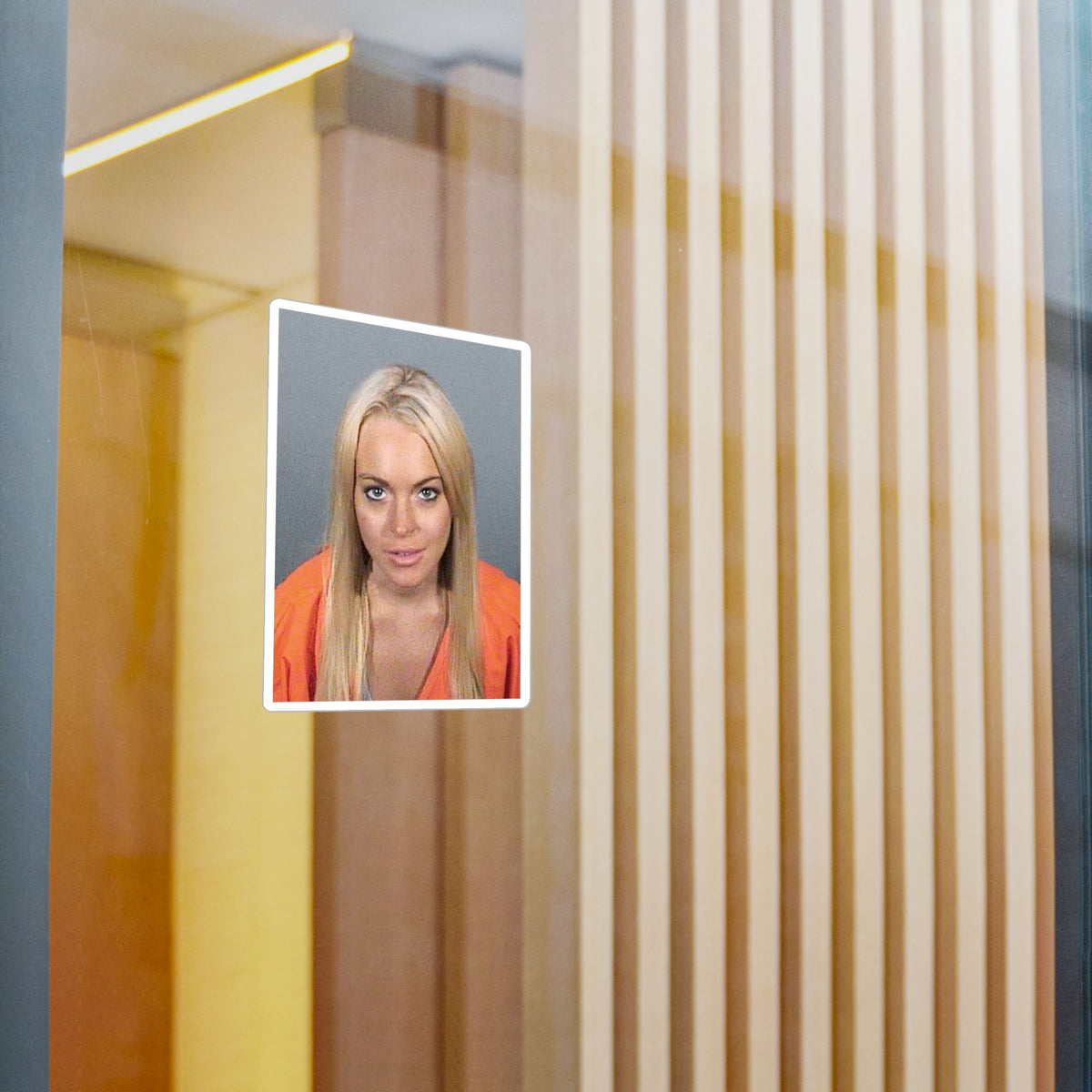 Lindsay Lohan 2007 Mugshot Sticker – Kiss-Cut Vinyl Decal