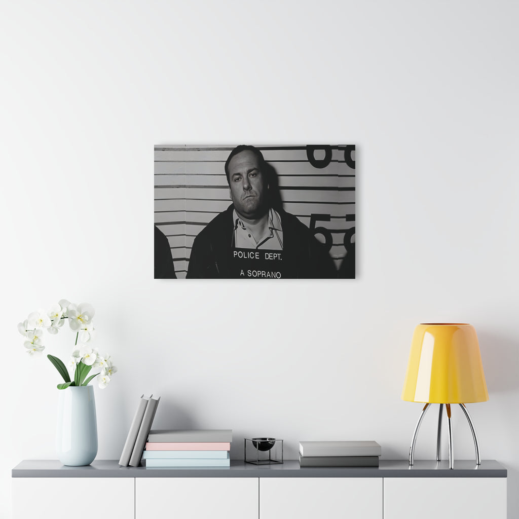 Anthony Soprano Mugshot Acrylic Wall Art Print - Unique Home Decor, Modern Art Piece, Gallery Wall Decor, Gift for Art Lovers, Custom Wall Hanging