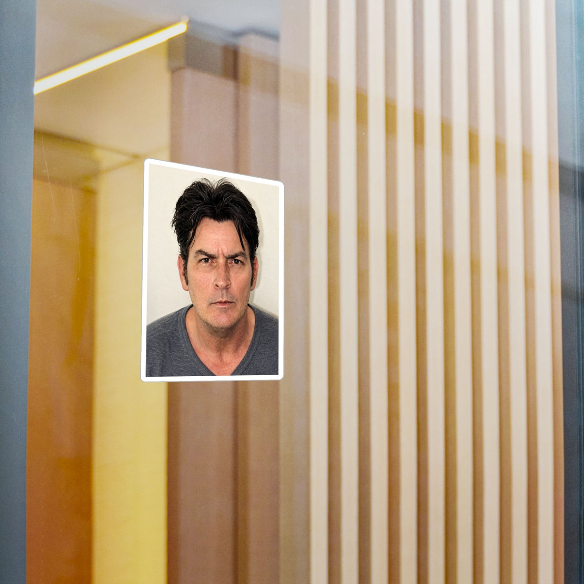 Charlie Sheen Mugshot Sticker – Kiss-Cut Vinyl Decal