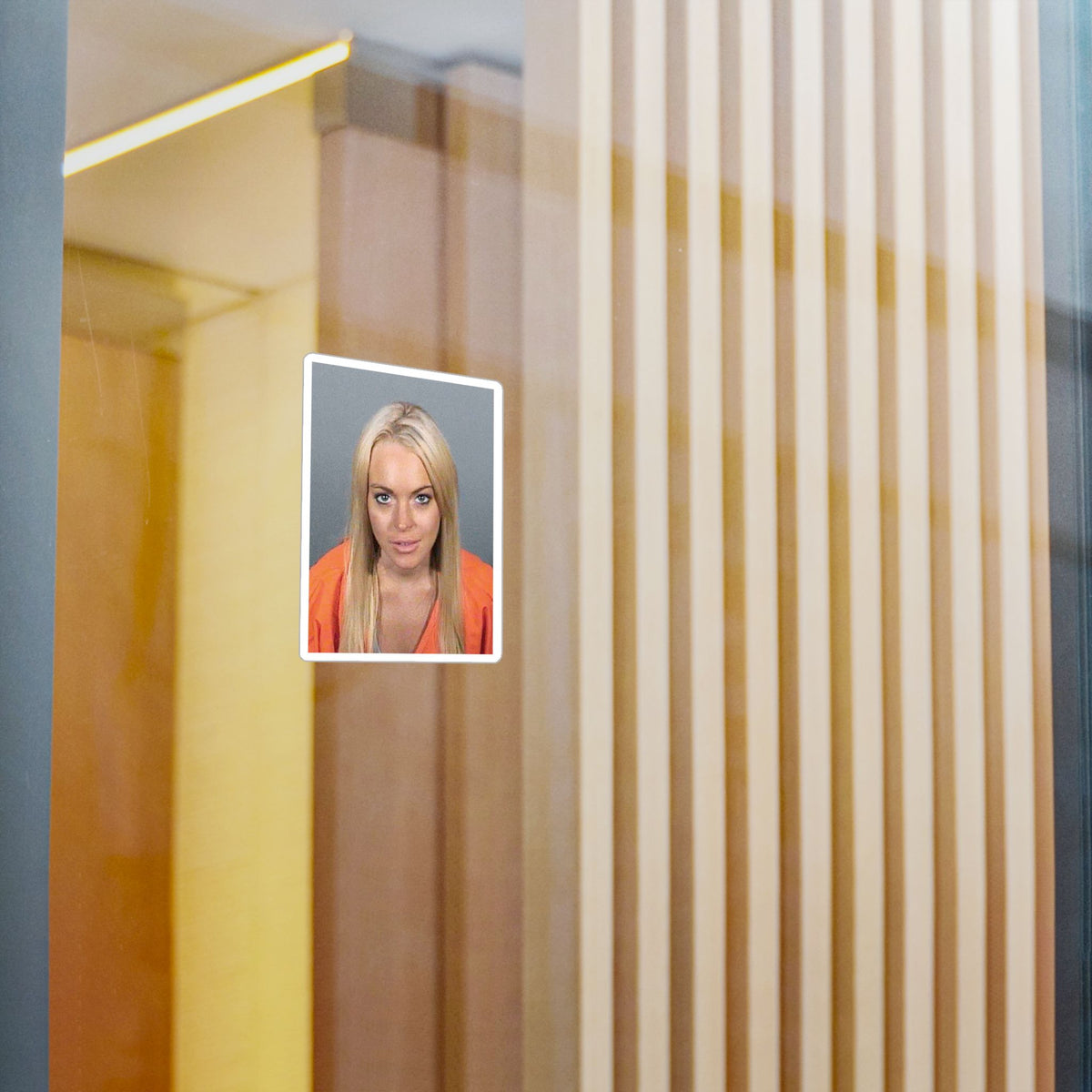 Lindsay Lohan 2007 Mugshot Sticker – Kiss-Cut Vinyl Decal