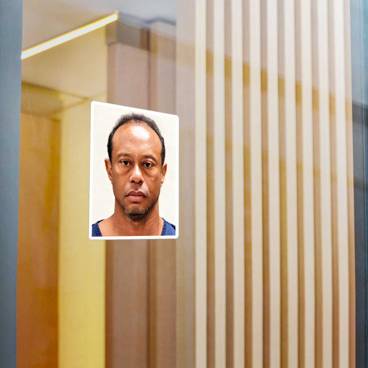 Tiger Woods 2017 Mugshot Sticker – Kiss-Cut Vinyl Decal