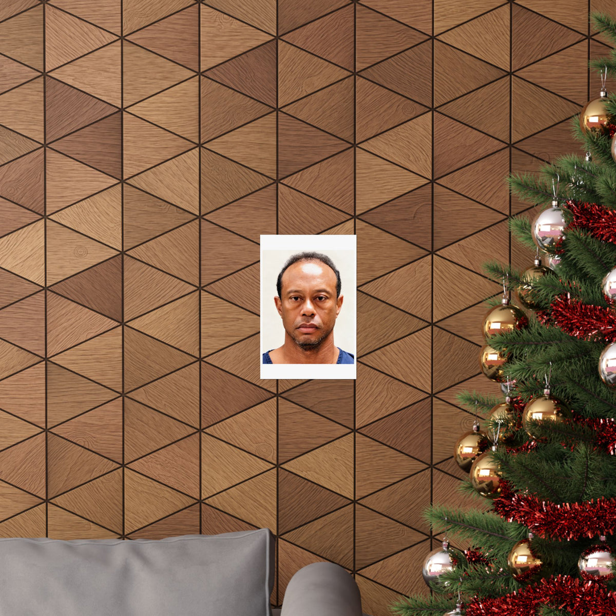 Tiger Woods 2017 Mugshot Poster – Matte Wall Art Print