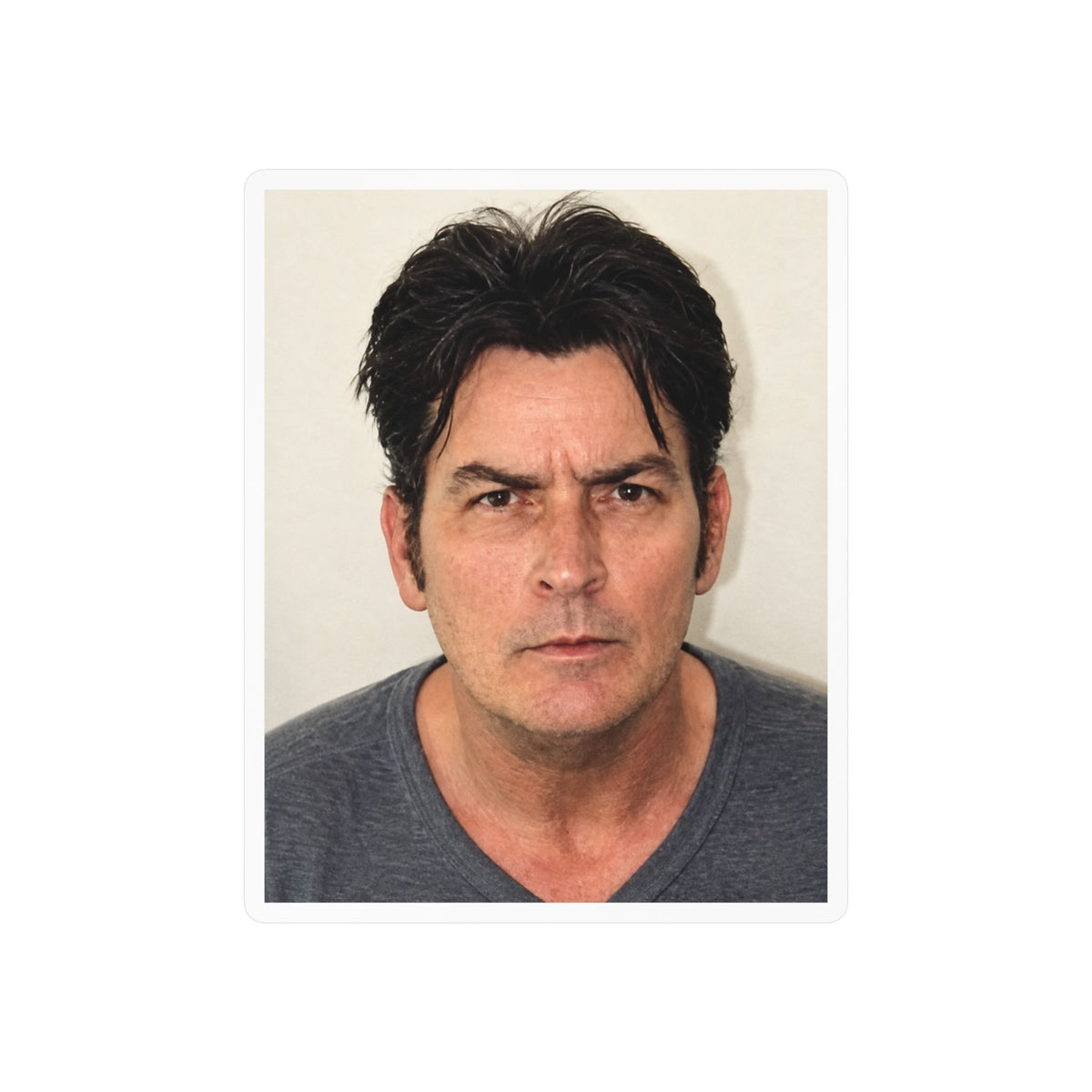 Charlie Sheen Mugshot Sticker – Kiss-Cut Vinyl Decal