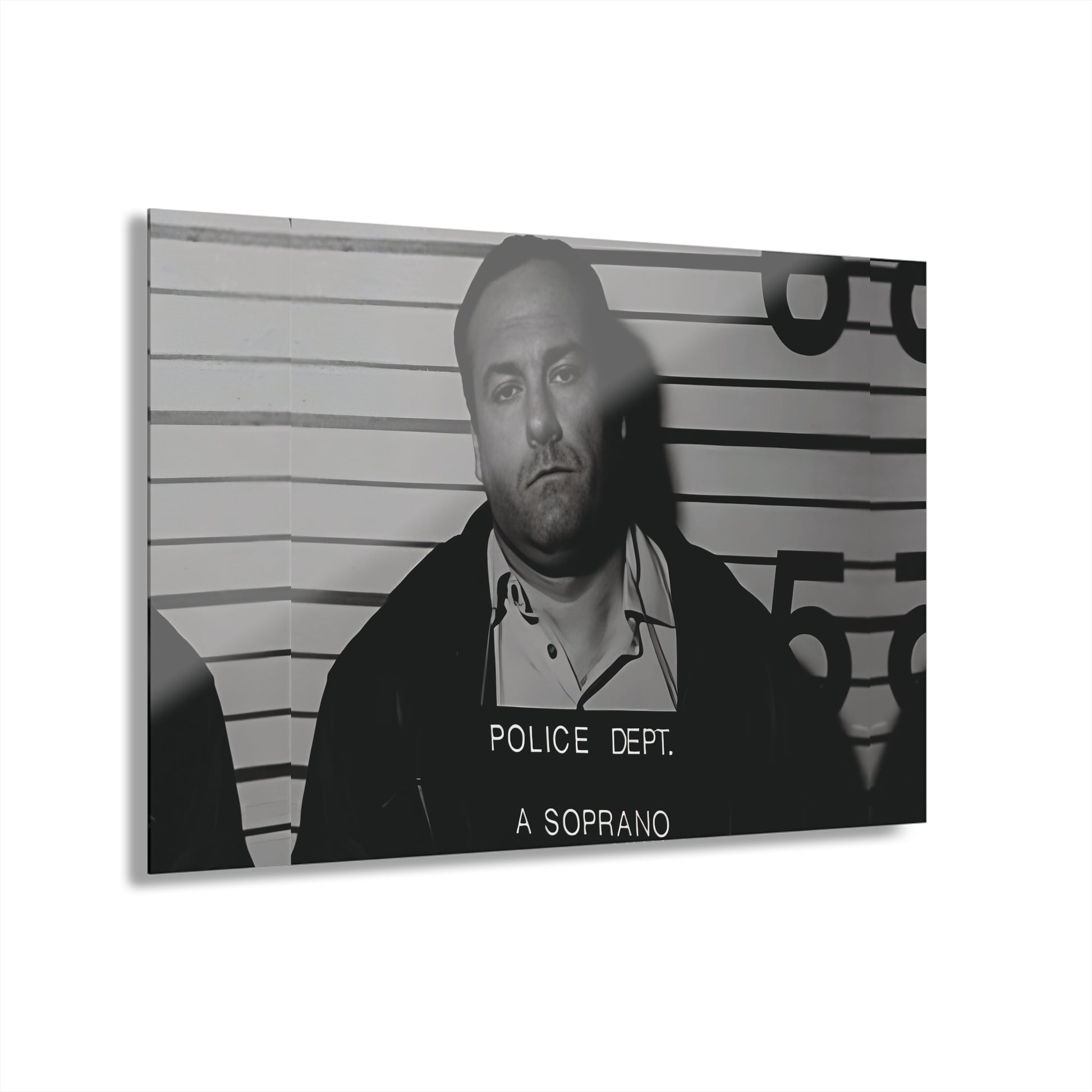 Anthony Soprano Mugshot Acrylic Wall Art Print - Unique Home Decor, Modern Art Piece, Gallery Wall Decor, Gift for Art Lovers, Custom Wall Hanging
