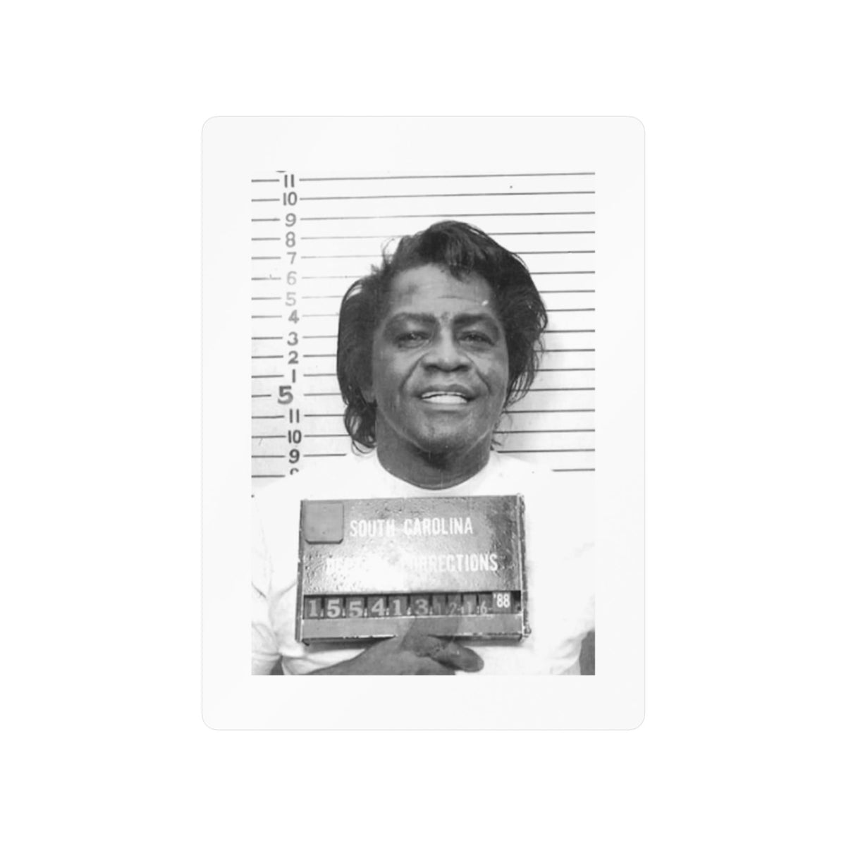 Rick James Mugshot Sticker – Kiss-Cut Vinyl Decal