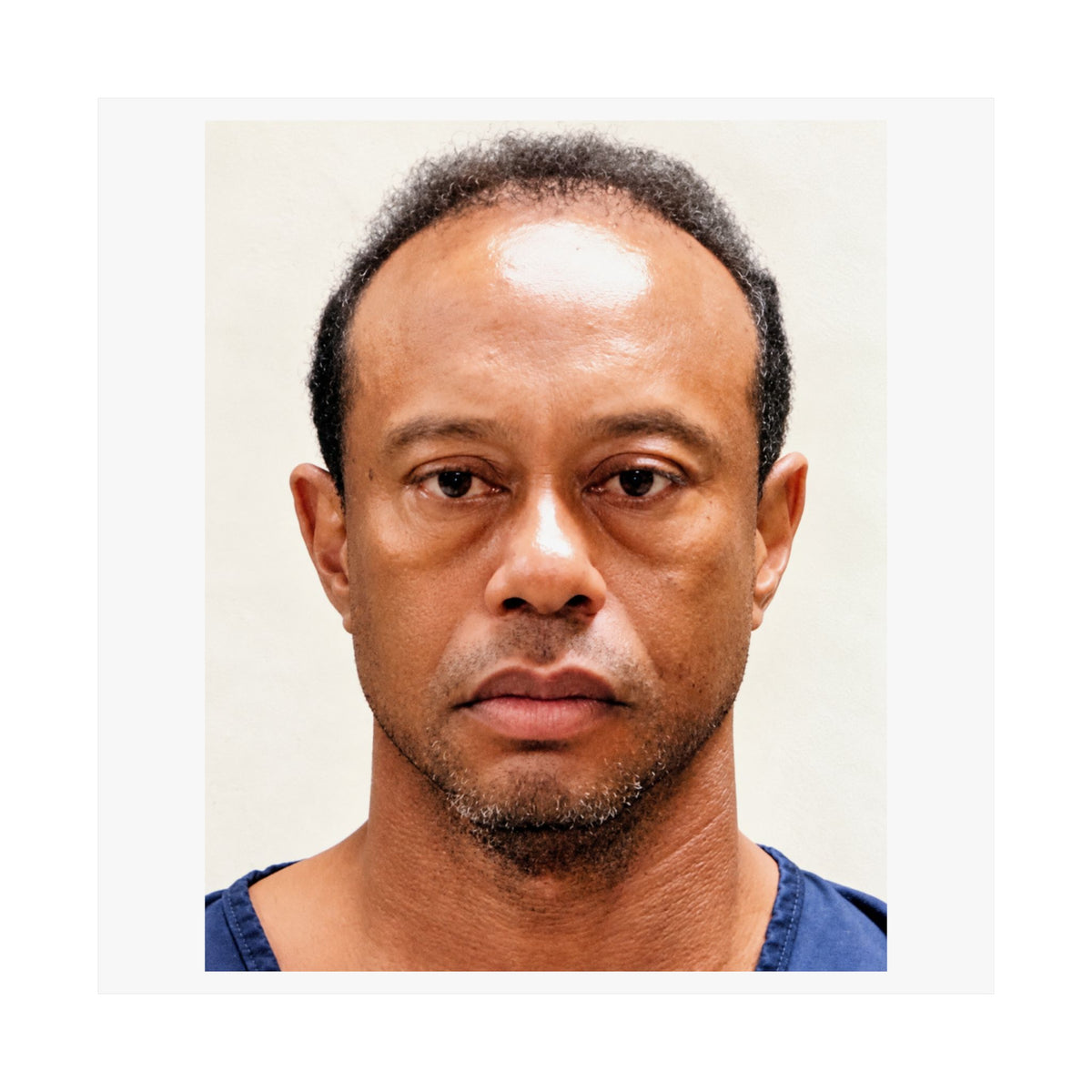 Tiger Woods 2017 Mugshot Poster – Matte Wall Art Print
