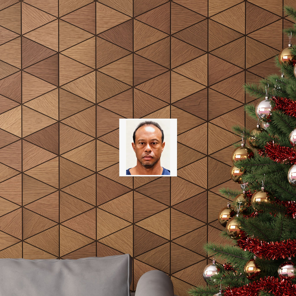 Tiger Woods 2017 Mugshot Poster – Matte Wall Art Print