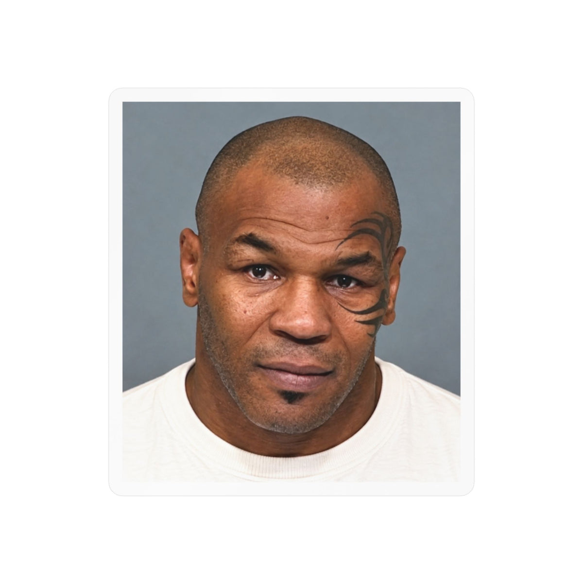 Mike Tyson Mugshot Sticker – Kiss-Cut Vinyl Decal