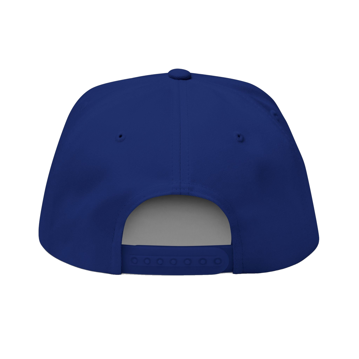 PAID Embroidered Flat Bill Cap — Snapback Hat with Bold Front Text