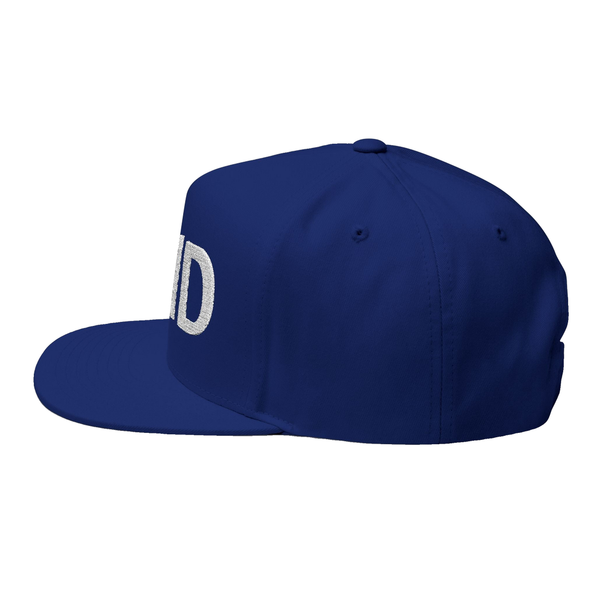 PAID Embroidered Flat Bill Cap — Snapback Hat with Bold Front Text