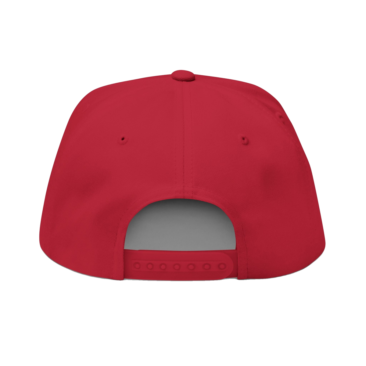 PAID Embroidered Flat Bill Cap — Snapback Hat with Bold Front Text