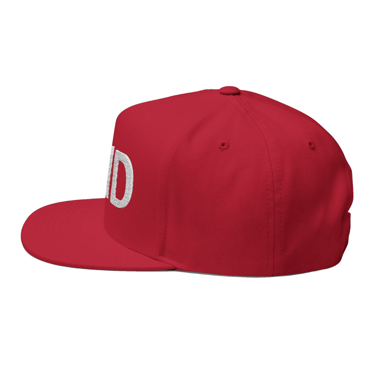 PAID Embroidered Flat Bill Cap — Snapback Hat with Bold Front Text