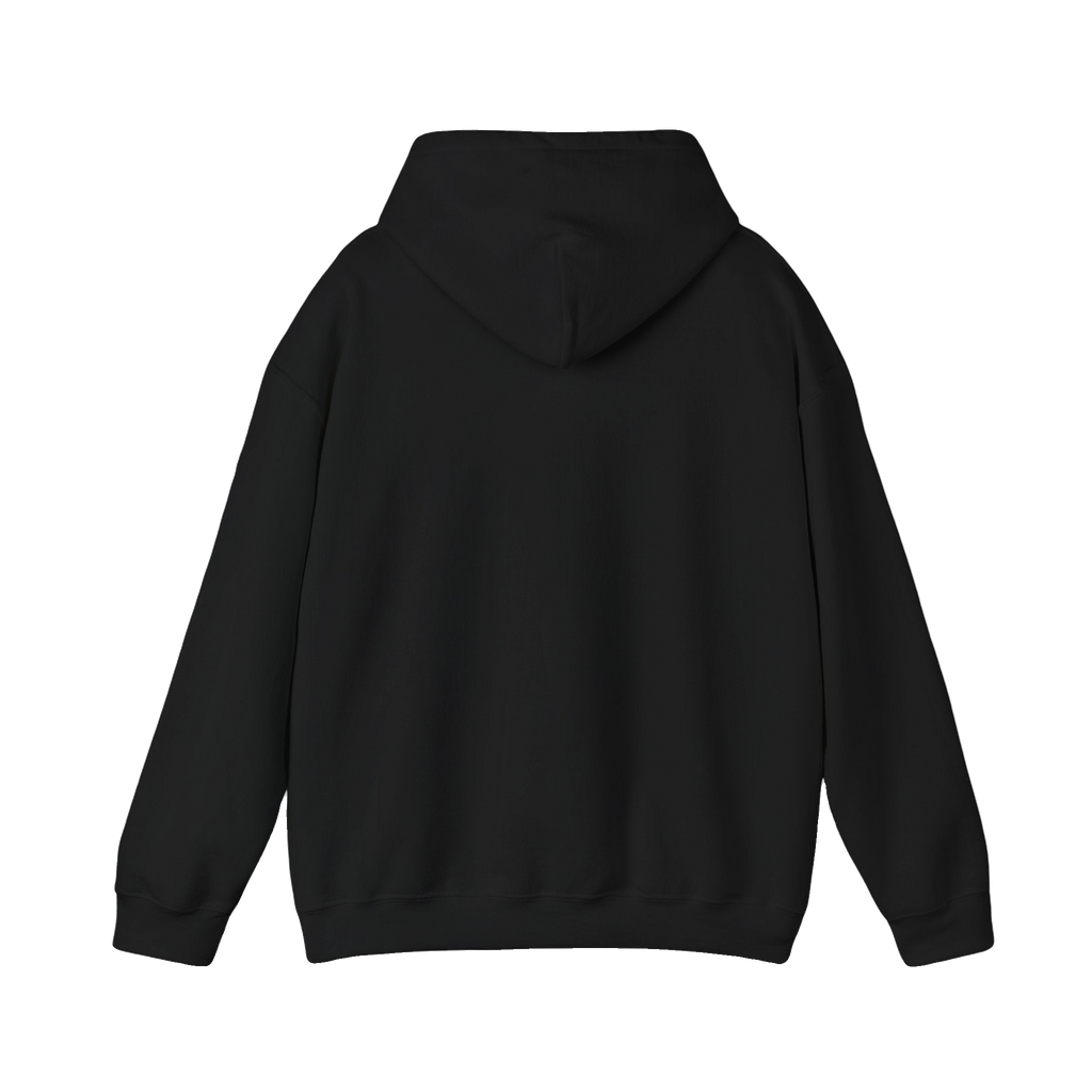 Jay-Z Mugshot Hoodie – Unisex Heavy Blend (S–5XL)