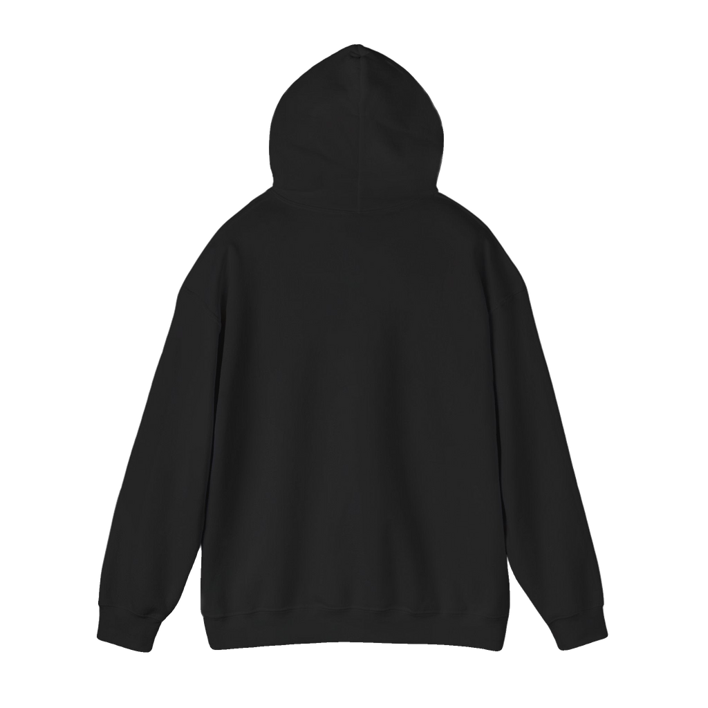 Jay-Z Mugshot Hoodie – Unisex Heavy Blend (S–5XL)