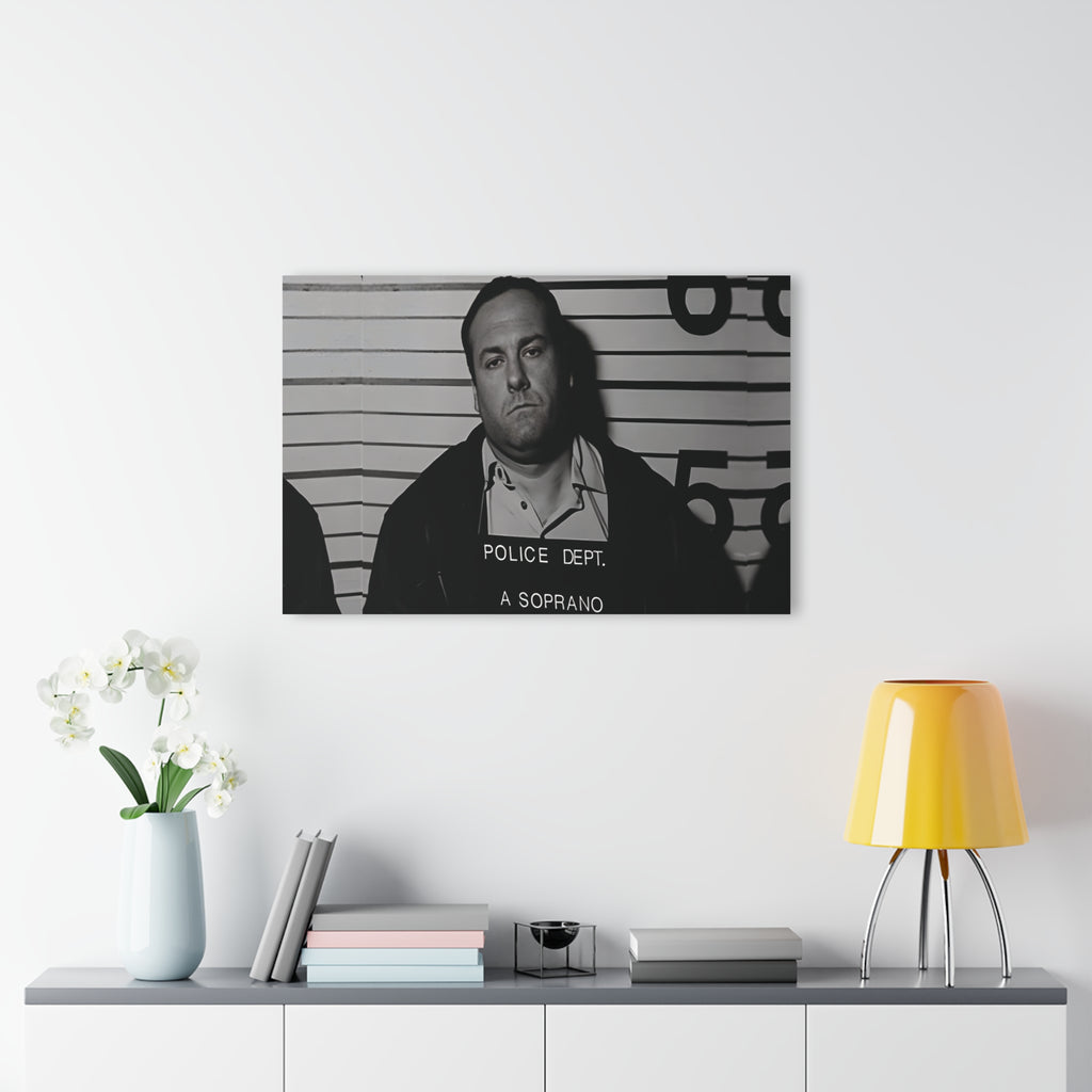 Anthony Soprano Mugshot Acrylic Wall Art Print - Unique Home Decor, Modern Art Piece, Gallery Wall Decor, Gift for Art Lovers, Custom Wall Hanging