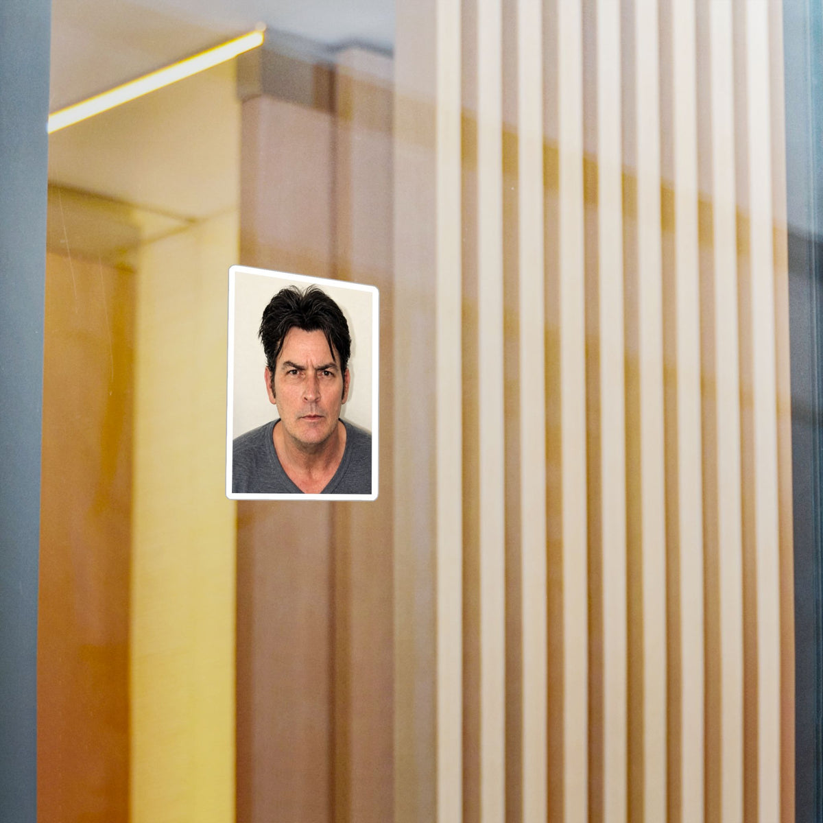 Charlie Sheen Mugshot Sticker – Kiss-Cut Vinyl Decal
