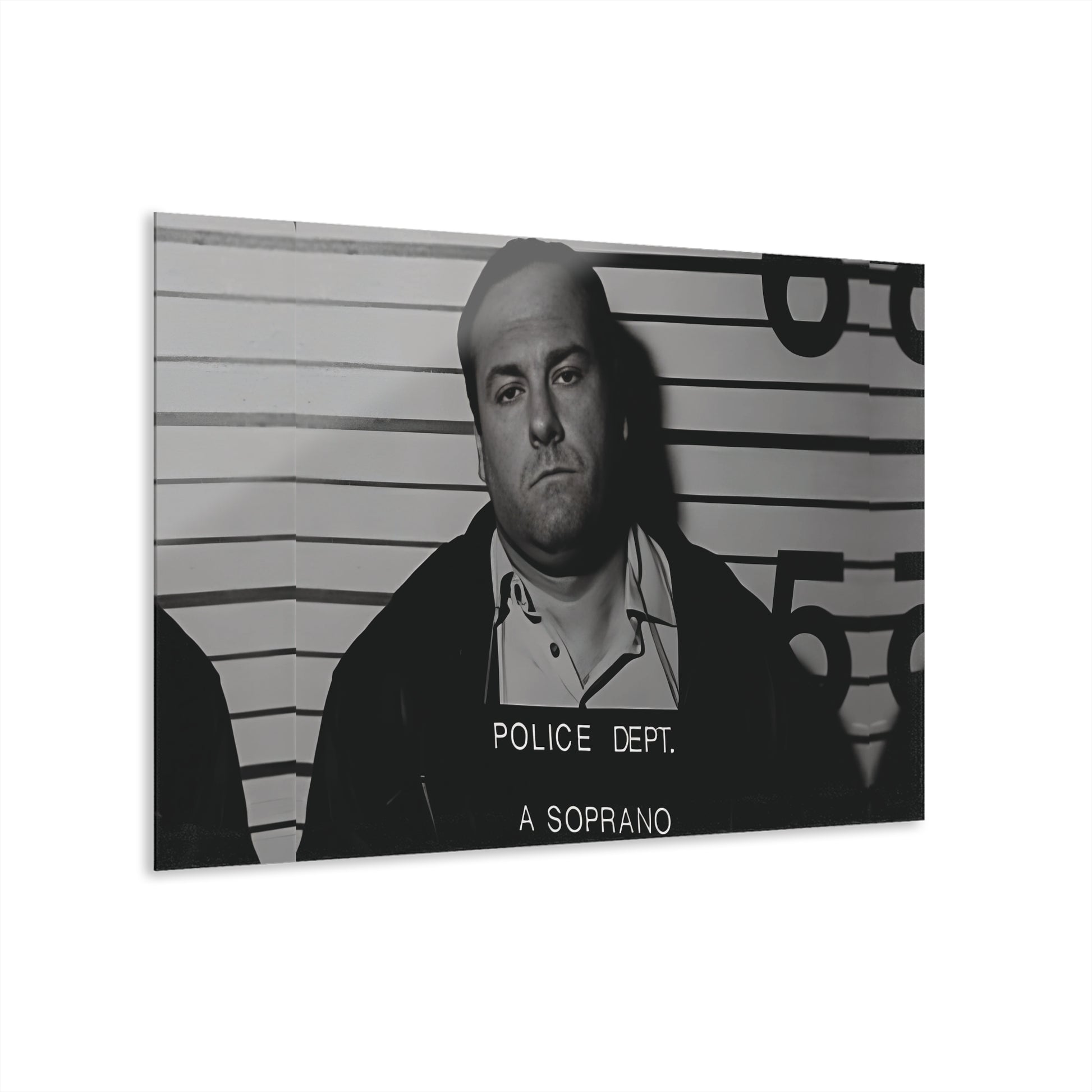 Anthony Soprano Mugshot Acrylic Wall Art Print - Unique Home Decor, Modern Art Piece, Gallery Wall Decor, Gift for Art Lovers, Custom Wall Hanging