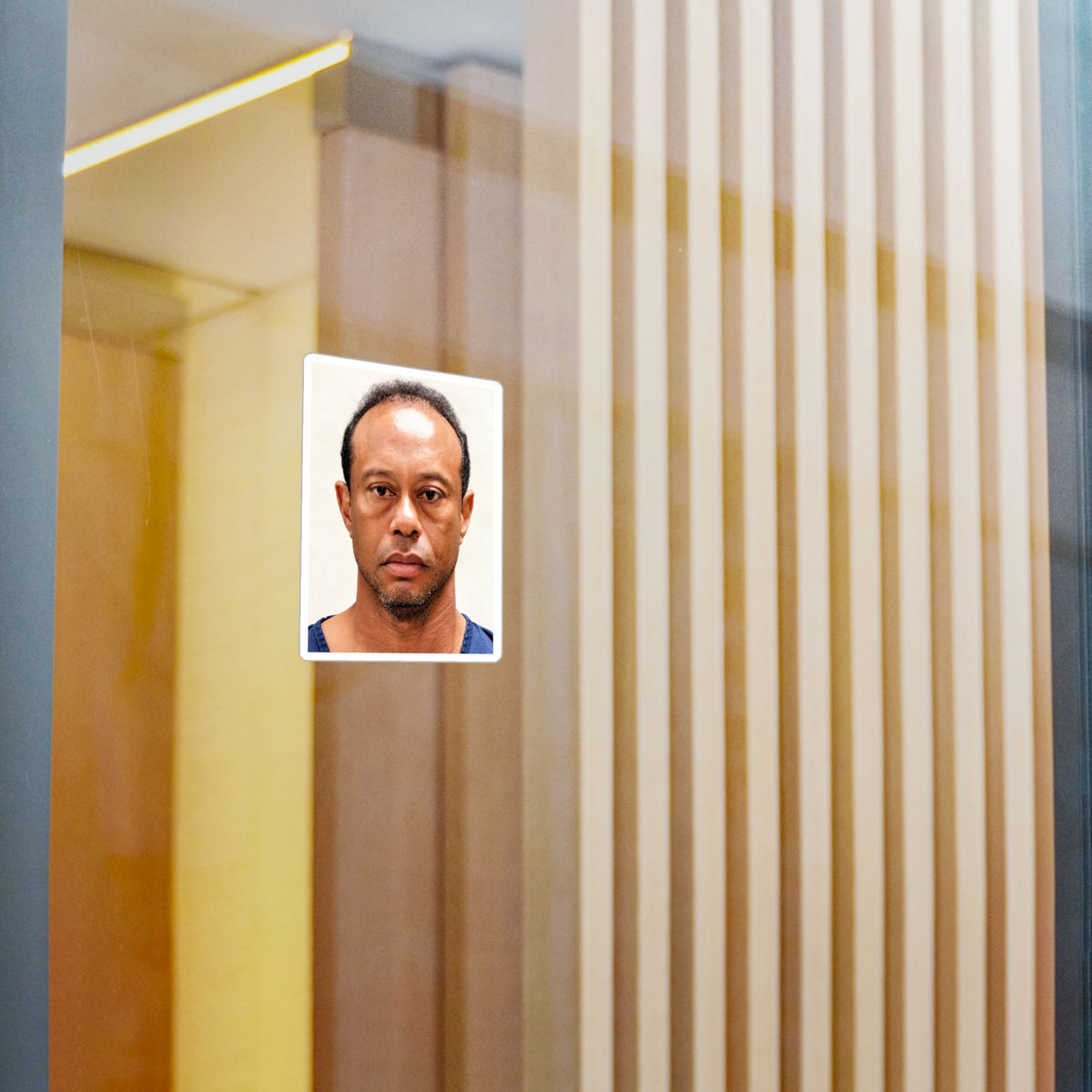 Tiger Woods 2017 Mugshot Sticker – Kiss-Cut Vinyl Decal