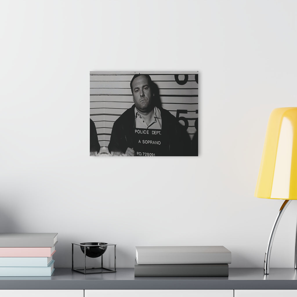 Anthony Soprano Mugshot Acrylic Wall Art Print - Unique Home Decor, Modern Art Piece, Gallery Wall Decor, Gift for Art Lovers, Custom Wall Hanging