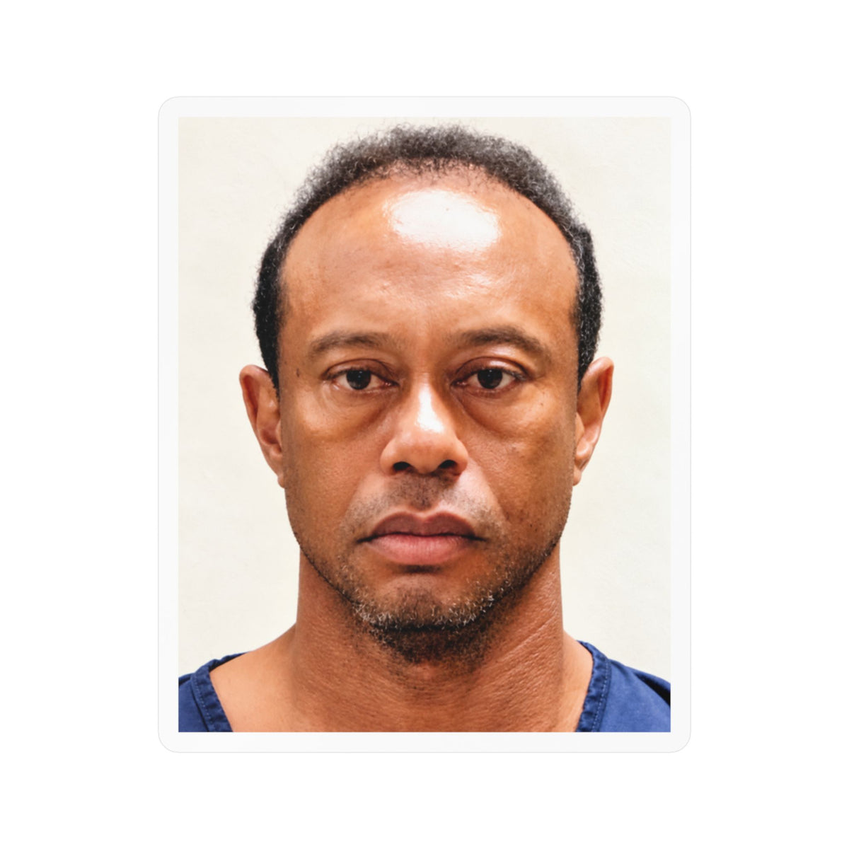 Tiger Woods 2017 Mugshot Sticker – Kiss-Cut Vinyl Decal