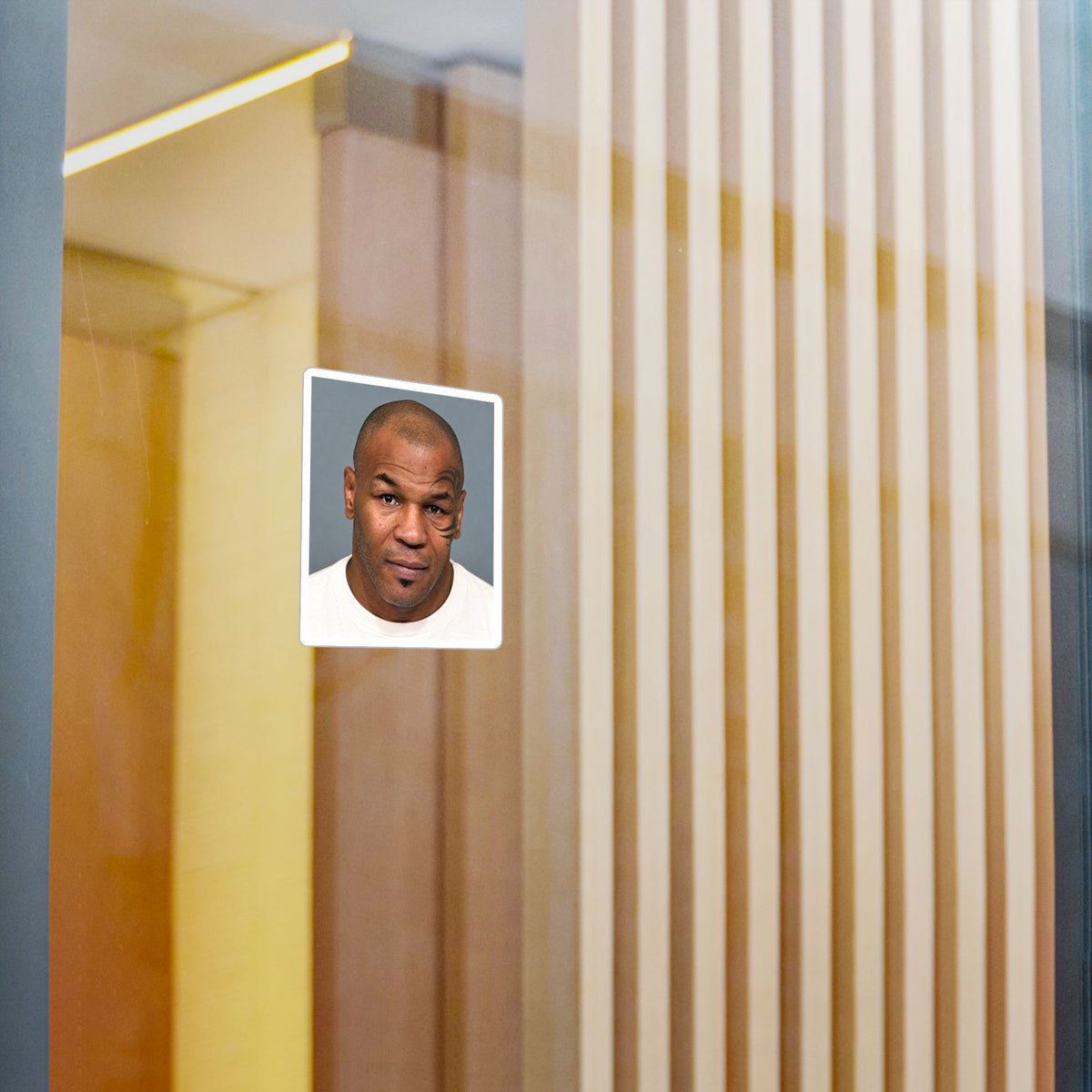 Mike Tyson Mugshot Sticker – Kiss-Cut Vinyl Decal
