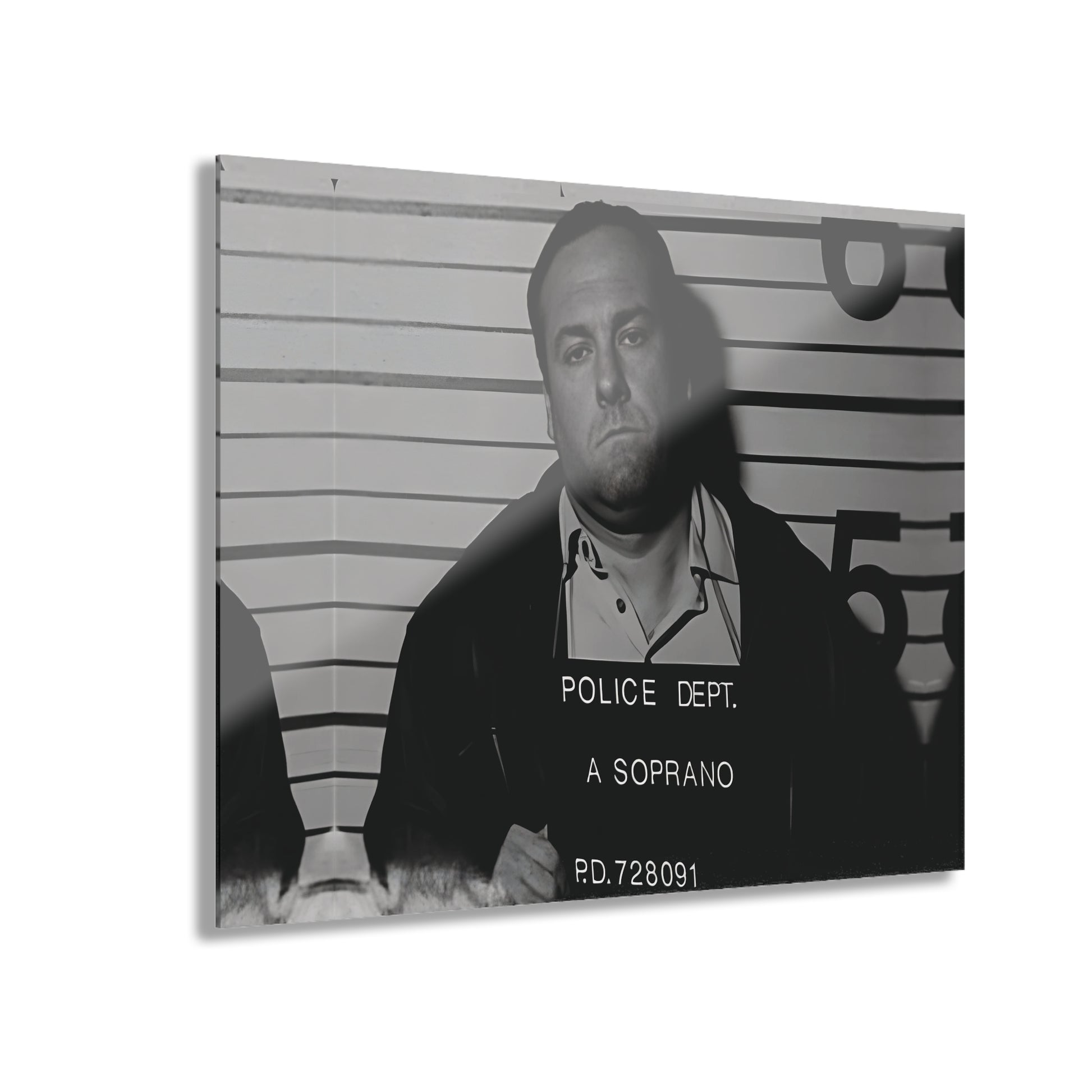 Anthony Soprano Mugshot Acrylic Wall Art Print - Unique Home Decor, Modern Art Piece, Gallery Wall Decor, Gift for Art Lovers, Custom Wall Hanging
