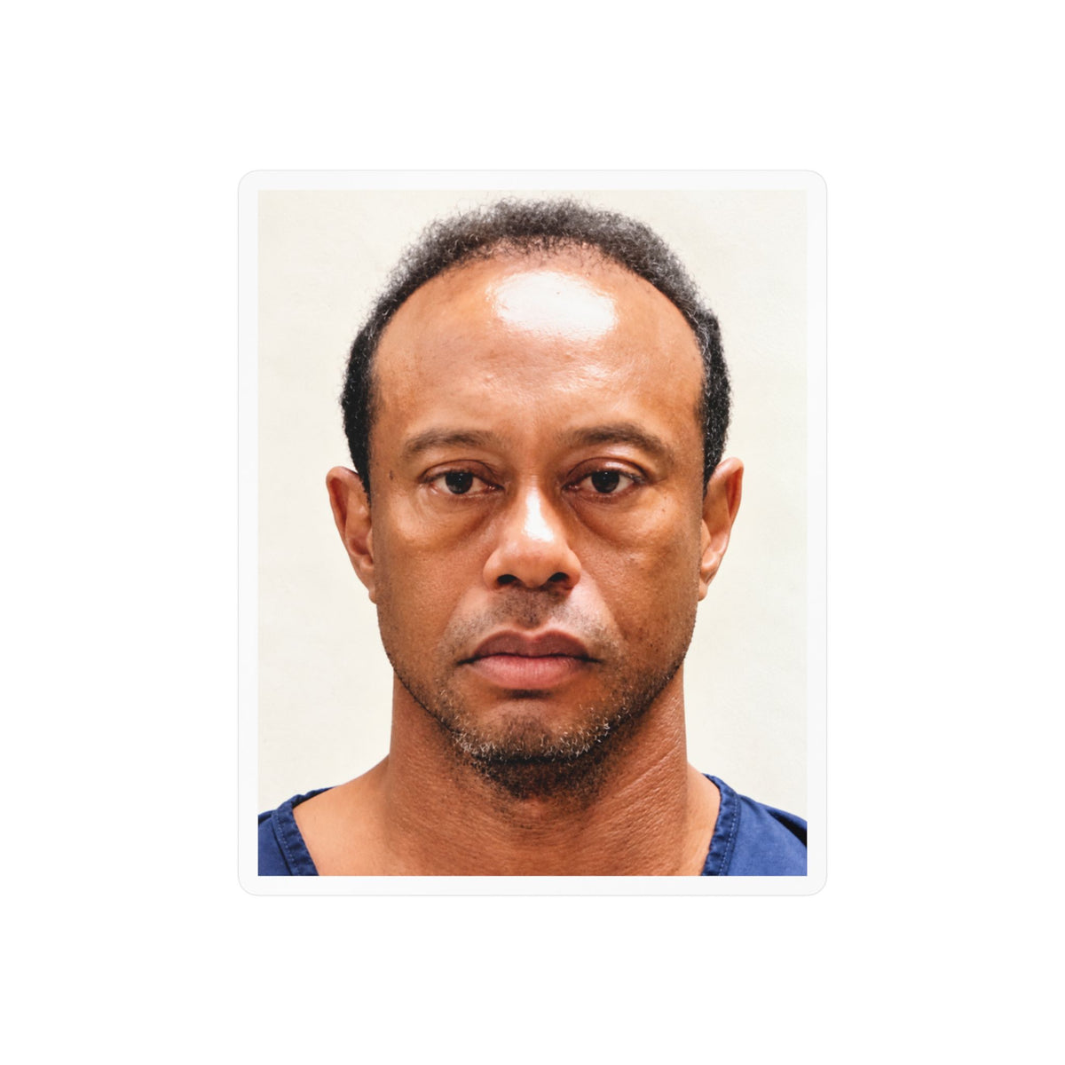 Tiger Woods 2017 Mugshot Sticker – Kiss-Cut Vinyl Decal